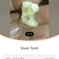 فروش یک سنگ بینظیر پیدا شده درنزدیکی یک تپه باستان