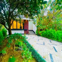 ویلاجنگلی-200متر-دردل-باغ-مرکبات-سندعرص-عیان