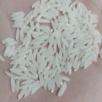 برنج الموت