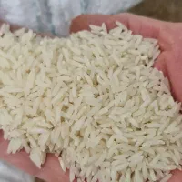 برنج هاشمی