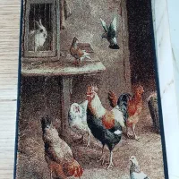 سه عدد پادری درحد نو فقط 1500000