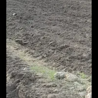 زمین  کشاورزی آبی هفت هکتار یکجا اجاره داده میشود