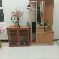 جاکفشی  و  میزِ تلویزیون