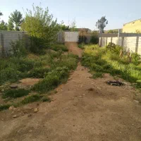 خونه-باغ-فرووش-فوری-مسکونی