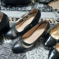 کیف و کفش فقط 150|کیف، کفش، کمربند|جهرم, |دیوار