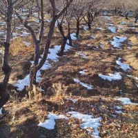 زمین-کشاورزی