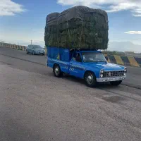 نیسان 1403