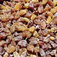 باسلام کشمش بواناتی سایه خشک درجه یک بدون هسته|خوردنی و آشامیدنی|آباده, |دیوار