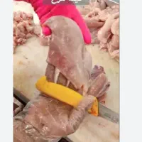 نیروی کار برای شنیسل کردن مرغ
