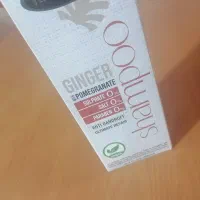 شامپوی زنجبیل مکس لیدی