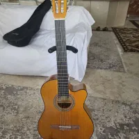 گیتار فونیکس نو نو