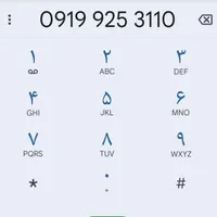 09199253110