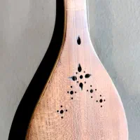 سه تار کتابی(زیر عبایی)