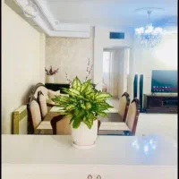 55متری-آسانسور-دار