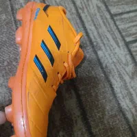 کفش استوک|کیف، کفش، کمربند|قدس, شهرقدس|دیوار