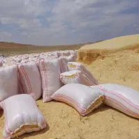 کاه نرم و باکیفیت گندم دیم، عاری از گرد و خاک|عمده‌فروشی|اصفهان, نقش جهان|دیوار