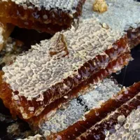 عسل درجه یک سراب