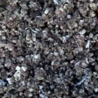 کودکبوترمی خاستم