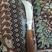 چاقو|کوهنوردی و کمپینگ|مشهد, نوید|دیوار