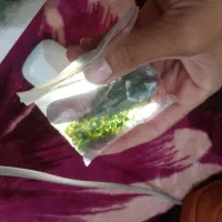 سنگ سبز ،گارنت دمانتویید استان کرمان|جواهرات|کرمان, |دیوار