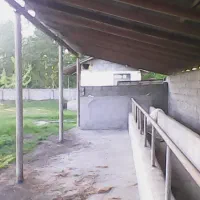 گاوداری 100 راسی(پرواری) خمام-شیجان|فروش دفتر صنعتی، کشاورزی، تجاری|خمام, |دیوار