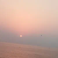 نیروی ماهر اقا