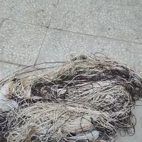 پرده ریسه ای