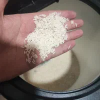 برنج طارم هاشمی بدون ریز|خوردنی و آشامیدنی|قائمشهر, |دیوار