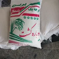 برنج فوق اعلاء هاشمی دوباره کشت به شرط پخت و رایحه