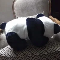 عروسک پاندا سایزبزرگ|اسباببازی|کرج, مصباح|دیوار