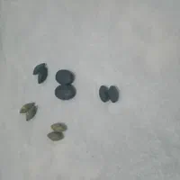 مهره ها قدیمی