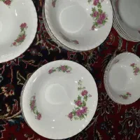 ظروف گل سرخی|ظروف سرو و پذیرایی|اراک, |دیوار