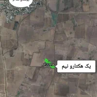 زمین کشاورزی