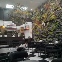 استخدام کمک آشپز خانم برای فست فود