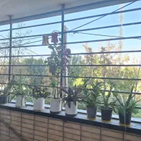 آپارتمان با ویو ابدی