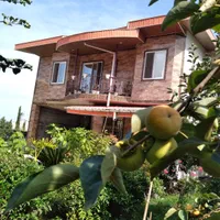 ویلا-جنگلی-طراوت