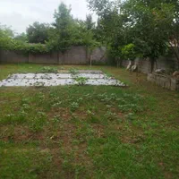 فروش زمین ۲۸۷ متری در  روستای زیبای نوخاله|فروش زمین و ملک کلنگی|رشت, یخسازی|دیوار