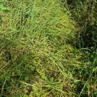 فروش ۵۰۰۰ متری