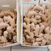 پخش عمده زنجبیل  زرد چوبه درجه ۱  به شرط عالی بودن