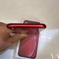 Iphone xr 256|موبایل|تهران, سهروردی|دیوار