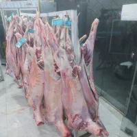 گوشت و مرغ|خوردنی و آشامیدنی|تهران, شهرک فرهنگیان|دیوار