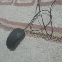 موس درحد