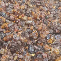 کشمش درگز ۱۲۰/۰۰۰ گله