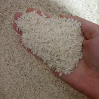 برنج طارم هاشمی