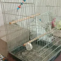 سلام به عوامل برنامه دیوار