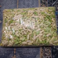 برگ سیر پاچ باقالی پیازسبزی باقالی کشاورزی|خوردنی و آشامیدنی|رشت, حمیدیان|دیوار