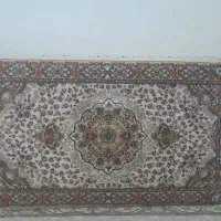 فرش و پشتی|فرش|سقز, |دیوار