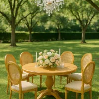 صندلی مدل خاص هتلی/تالار رستوران خانه عقد|عمدهفروشی|کرج, عظیمیه|دیوار