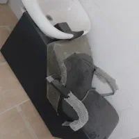 سرشور درحد نو
