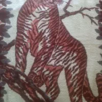 پتوپلنگی|رختخواب، بالش، پتو|قائمشهر, |دیوار